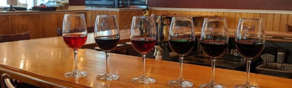 Half-Price Wine Wednesdays at Adam’s Grille Kent Island: Explore Our Red Wine List
